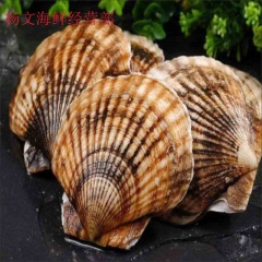 扇贝  500g         为保证鲜活，需提前预定，今日21点前下单，预计次日9点至11点送达