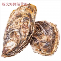 生蚝  500g         为保证鲜活，需提前预定，今日21点前下单，预计次日9点至11点送达