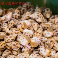 花螺  500g 为保证鲜活，需提前预定，今日21点前下单，预计次日9点至11点送达