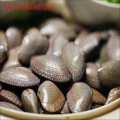 花甲  500g  今日9点至17点前下单，预计2小时内送达