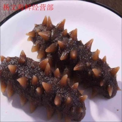 海参  10只/袋   今日9点至17点前下单，预计2小时内送达