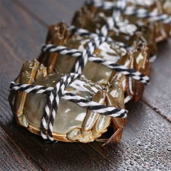 江苏大闸蟹  满购10只赠送吃大闸蟹工具一套 足称2两母蟹一只