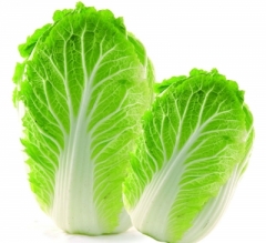 精品大白菜一颗约850g 2650