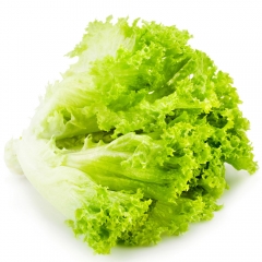 精品生菜两小把 （ 约500g）840