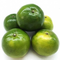 精品无核桔约500g  3120