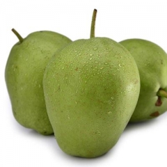 精品早酥梨 1kg 3125