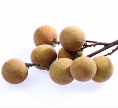 精品桂圆 500g 3228