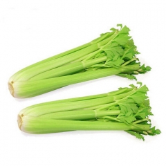 精品西芹（约500g/份）911