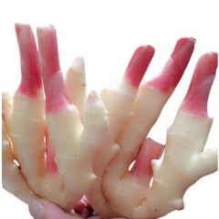 农夫严选仔姜（约300g/份）12020266