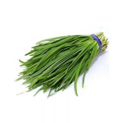 精品韭菜 约200g  806