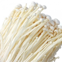 精品金针菇（约350g/份）12020285