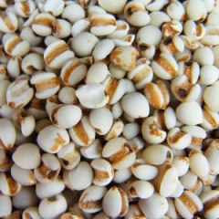 散装苡仁500g 2900668