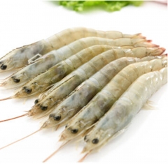 冰鲜虾 （约500g/份）2088