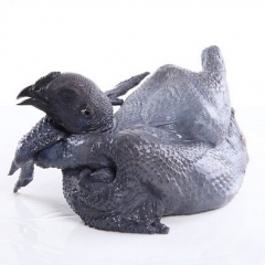 鲜乌骨鸡 （约1.3kg/只）1043（请留言告知是否切块）