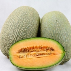 波斯蜜瓜（约2.6kg/个）3418