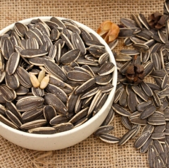 散装白味瓜子约110g/份 2900418