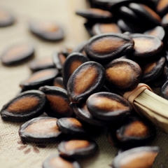 散装黑玫瑰瓜子约170g/份  2900312