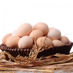 散装茶叶山散养土鸡蛋 500g 2903499