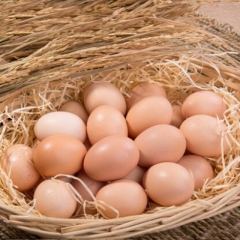 散装正大富硒鸡蛋 500g  2901172