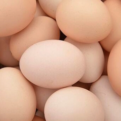 散装巴山放养鸡蛋500g  2901715