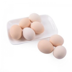 散装茶叶山土鸡蛋500g 2901714