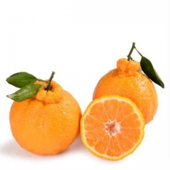 精品丑柑（约800g/ 份）430