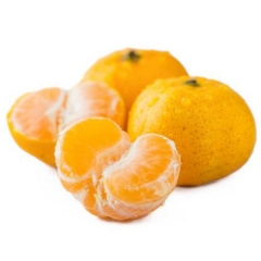 精品沙糖桔（约500g/份）3149