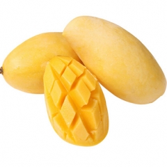 精品鹰嘴芒（约592g/份）454