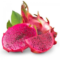 精品红心火龙果约600g  502