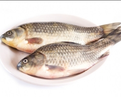 鲫鱼（约800g/条）3363