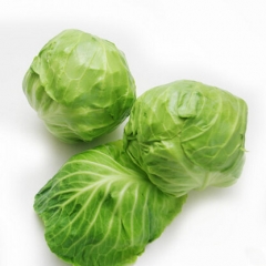 精品莲花白（约2kg/份）2649