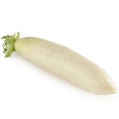 精品白萝卜（约1.1kg/份）837