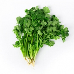 精品香菜1把	约250g  810