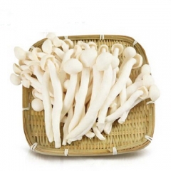 农夫严选海鲜菇（约350g/份）12020289